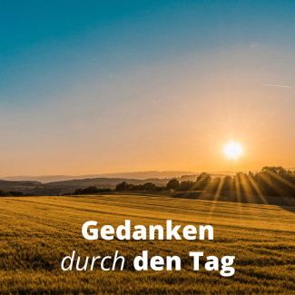 Aufgehende Sonne über dem Feld